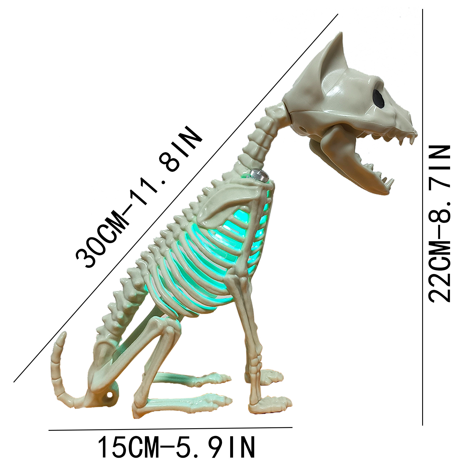 Spooky Halloween Animals Skeleton with Light 