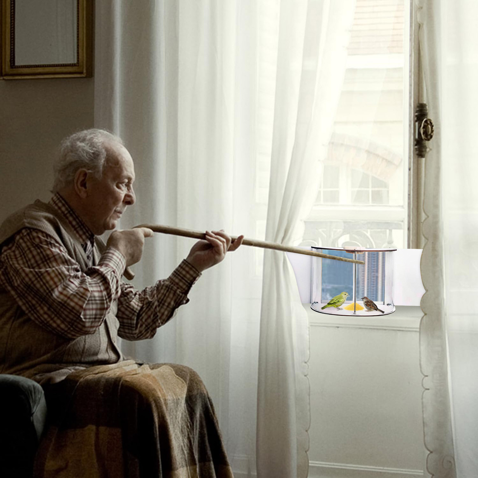 Watch Birds from Home: Install in 5 Minutes, Enjoy the View for Years to Come