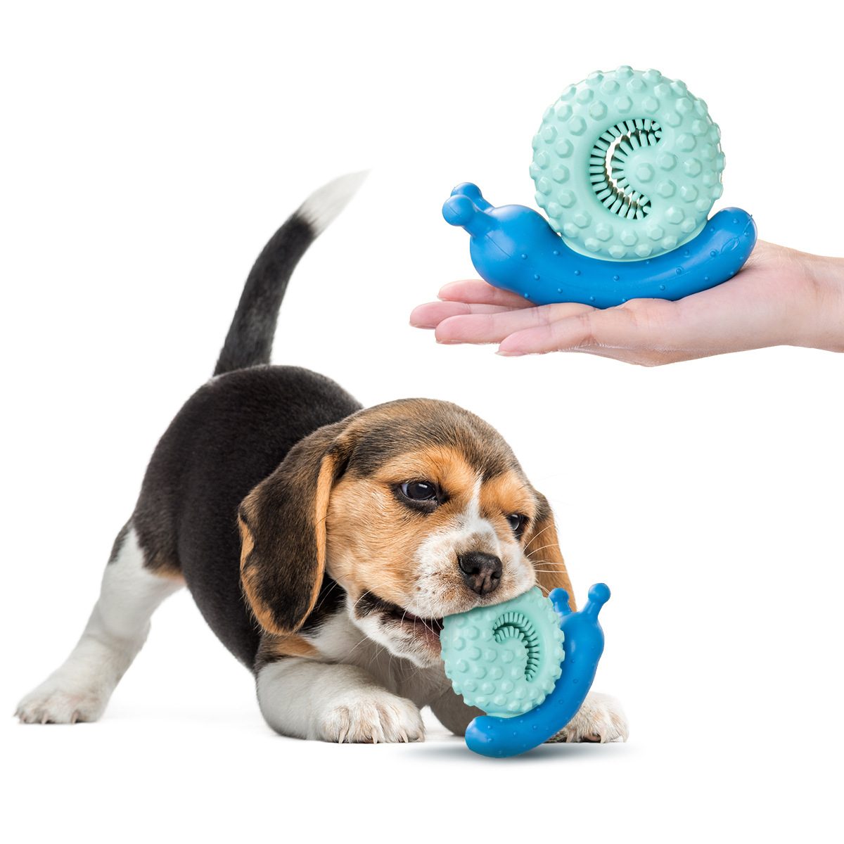  🐌✨Ultra-Durable Snail Chew Toy for Dogs | Natural Rubber Dental Care + Interactive Play!✨🐾