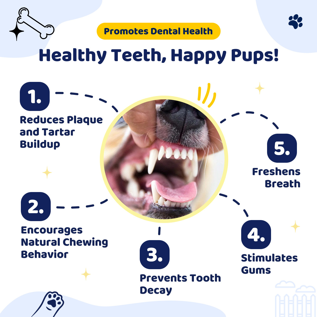  🐌✨Ultra-Durable Snail Chew Toy for Dogs | Natural Rubber Dental Care + Interactive Play!✨🐾