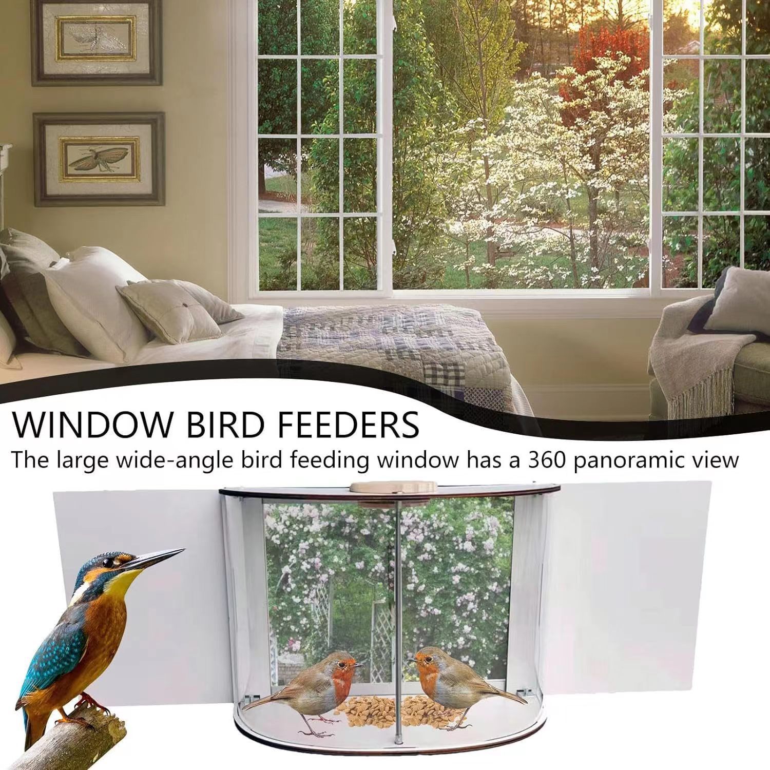 Watch Birds from Home: Install in 5 Minutes, Enjoy the View for Years to Come