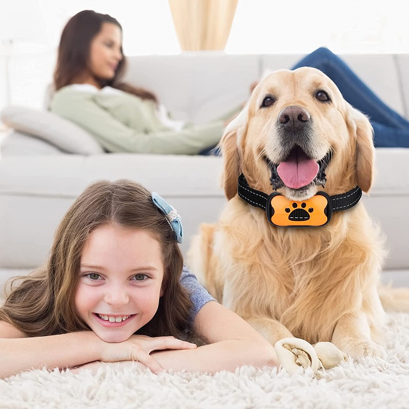 Rechargeable Intelligent Adjustment Anti-Bark Dog Collar