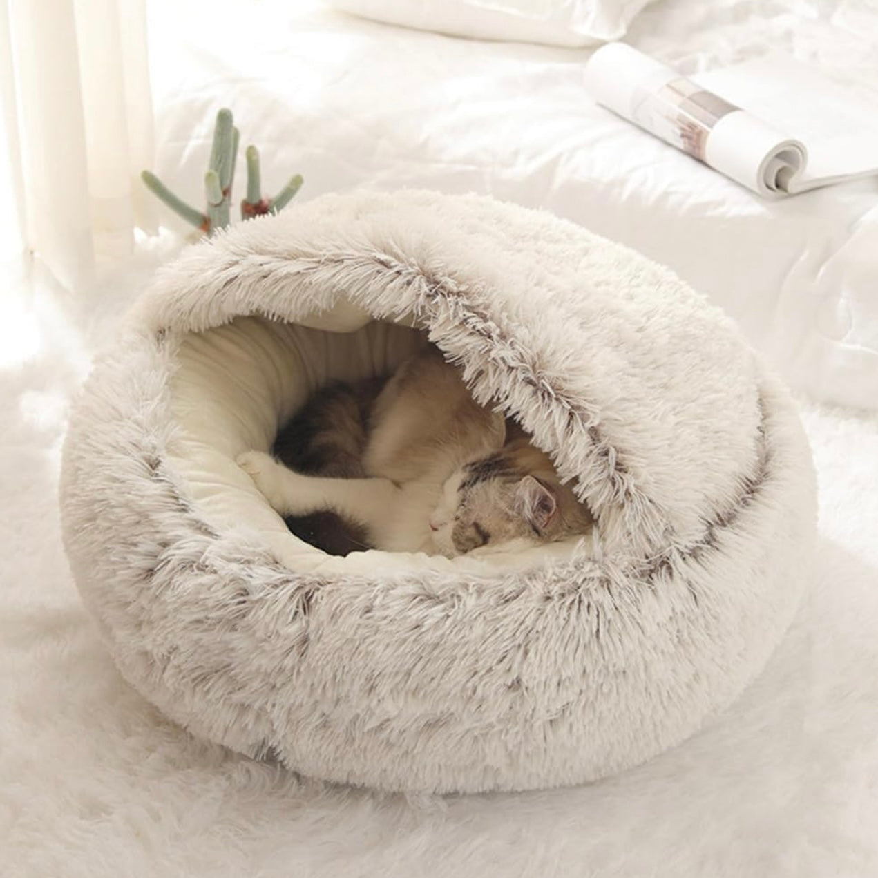 Calming CozyCave