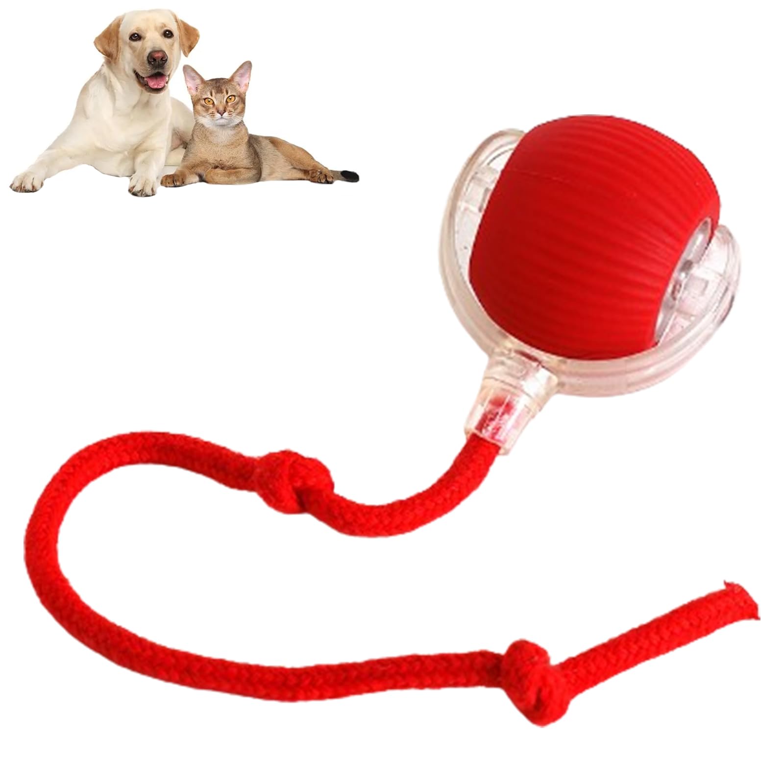 Interactive Cat Toys Ball