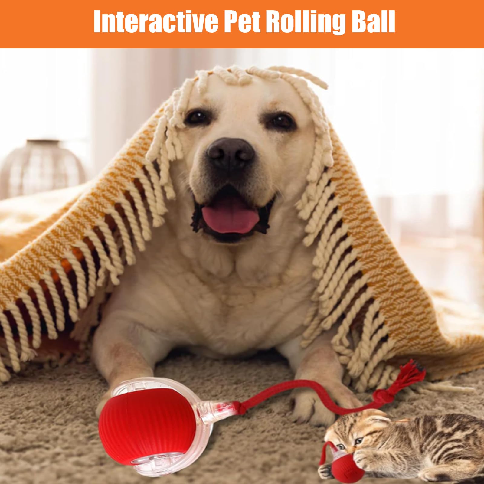 Interactive Cat Toys Ball