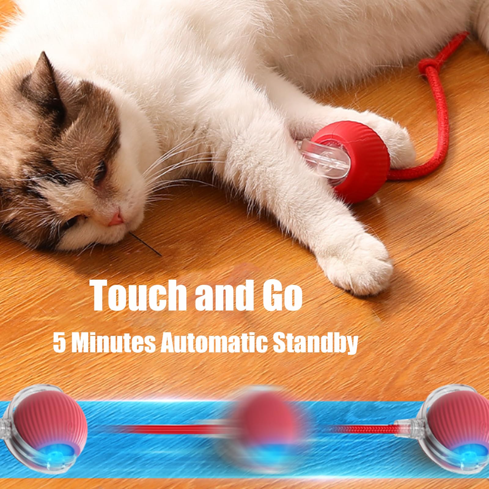 Interactive Cat Toys Ball