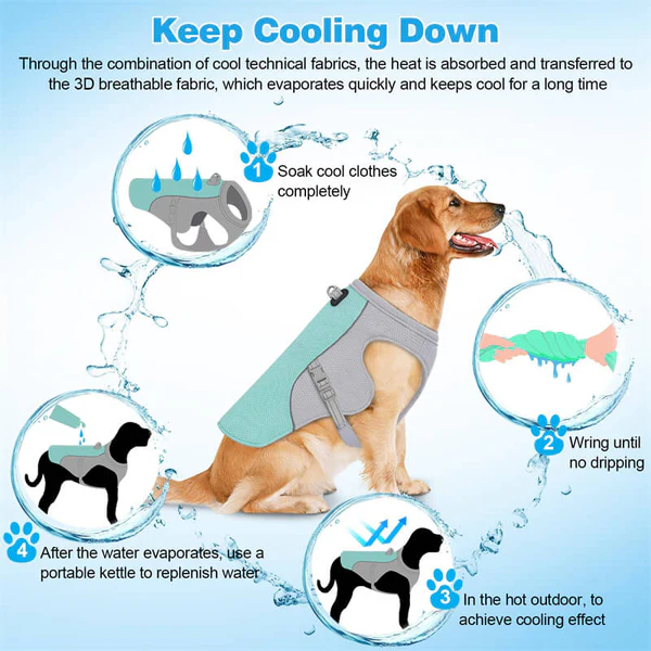 🔥 Ice Cooling Dog Protective Vest