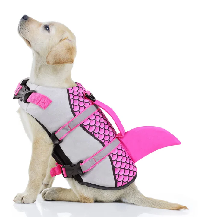 dog life jacket