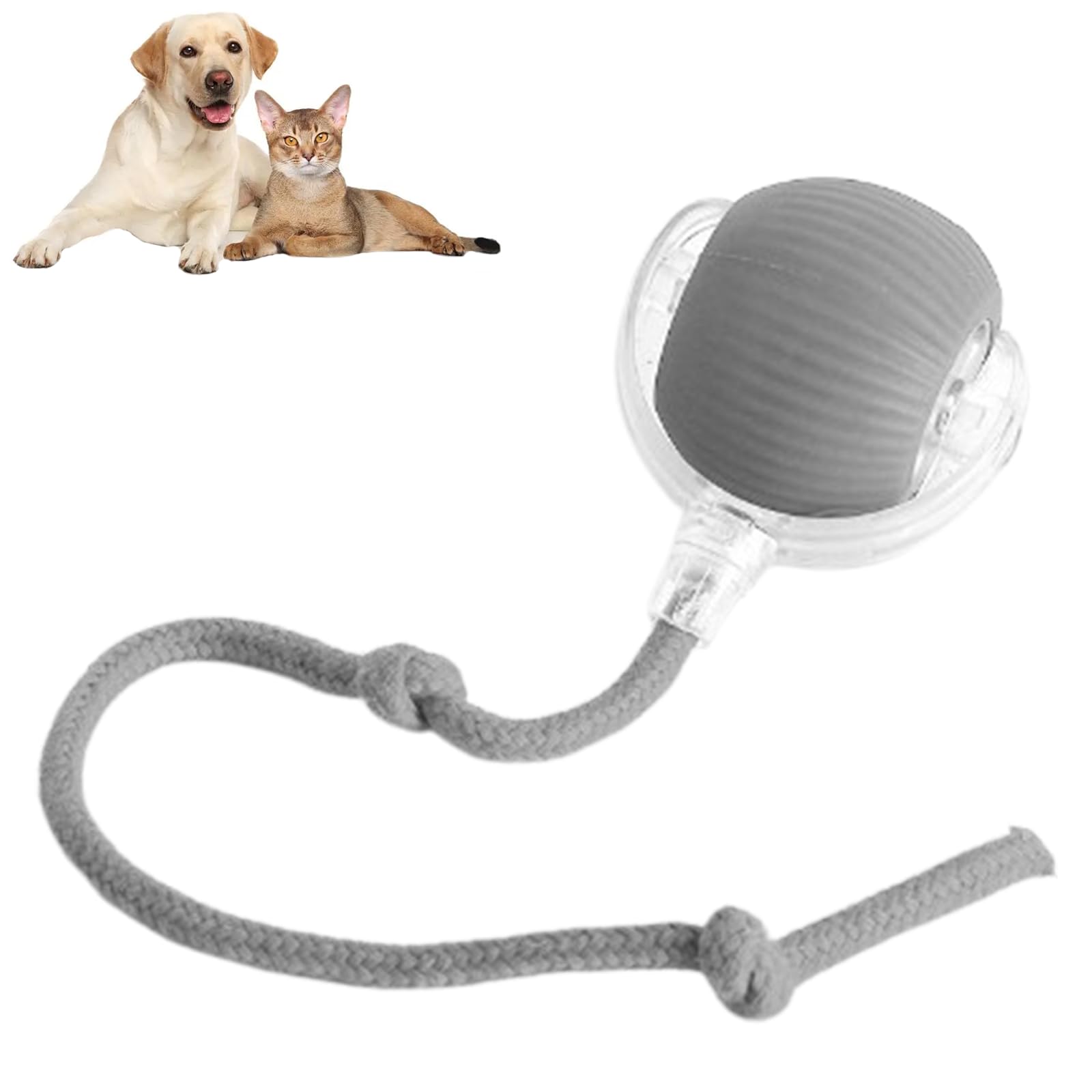 Interactive Cat Toys Ball