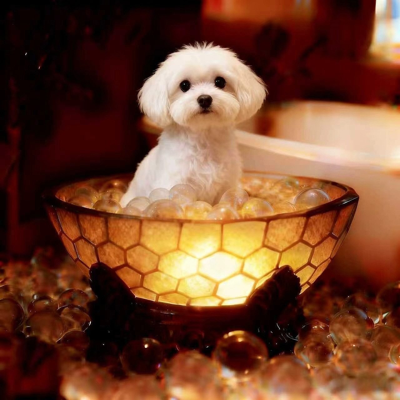 Adorable Dog Bubble Bath Resin USB Table Lamp