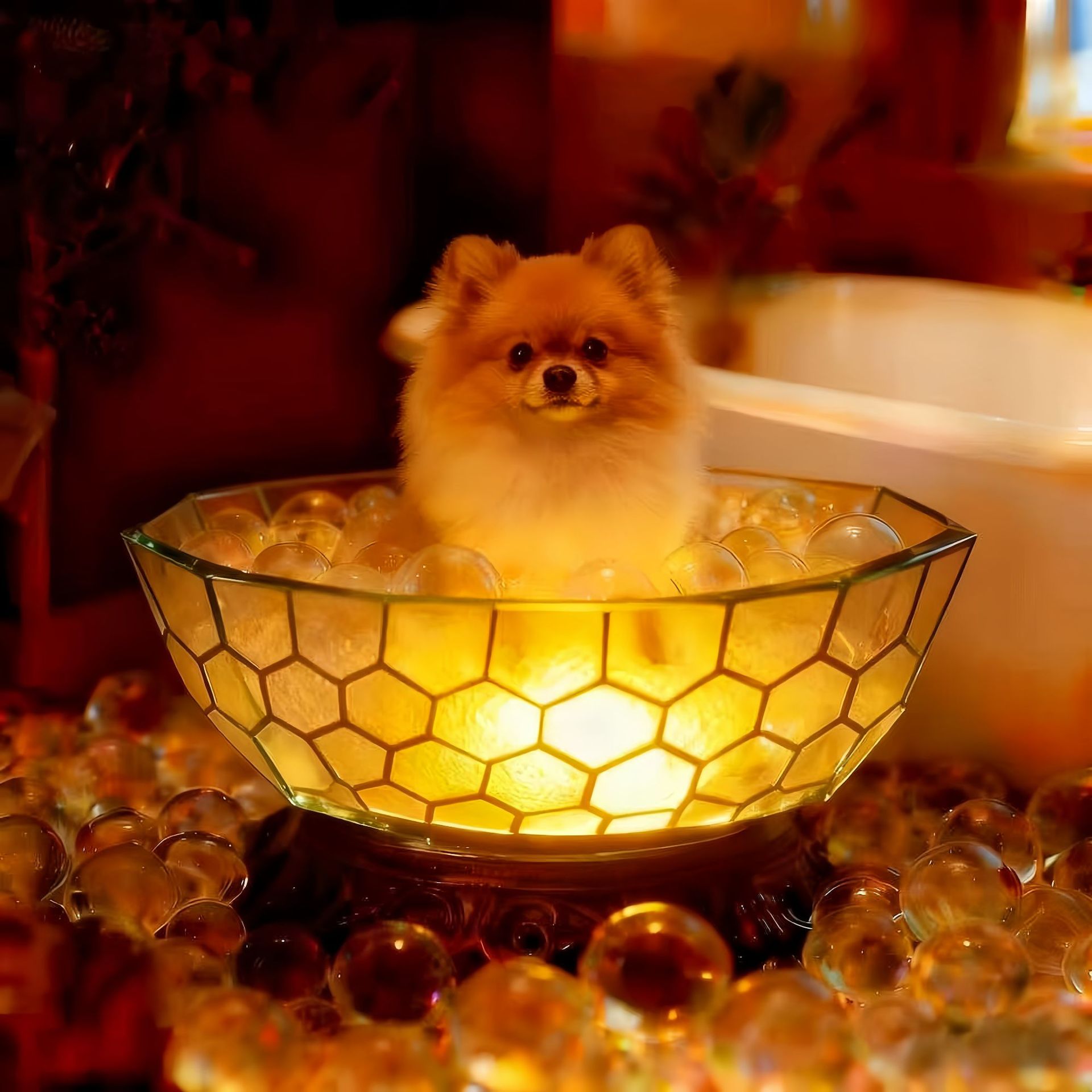 Adorable Dog Bubble Bath Resin USB Table Lamp