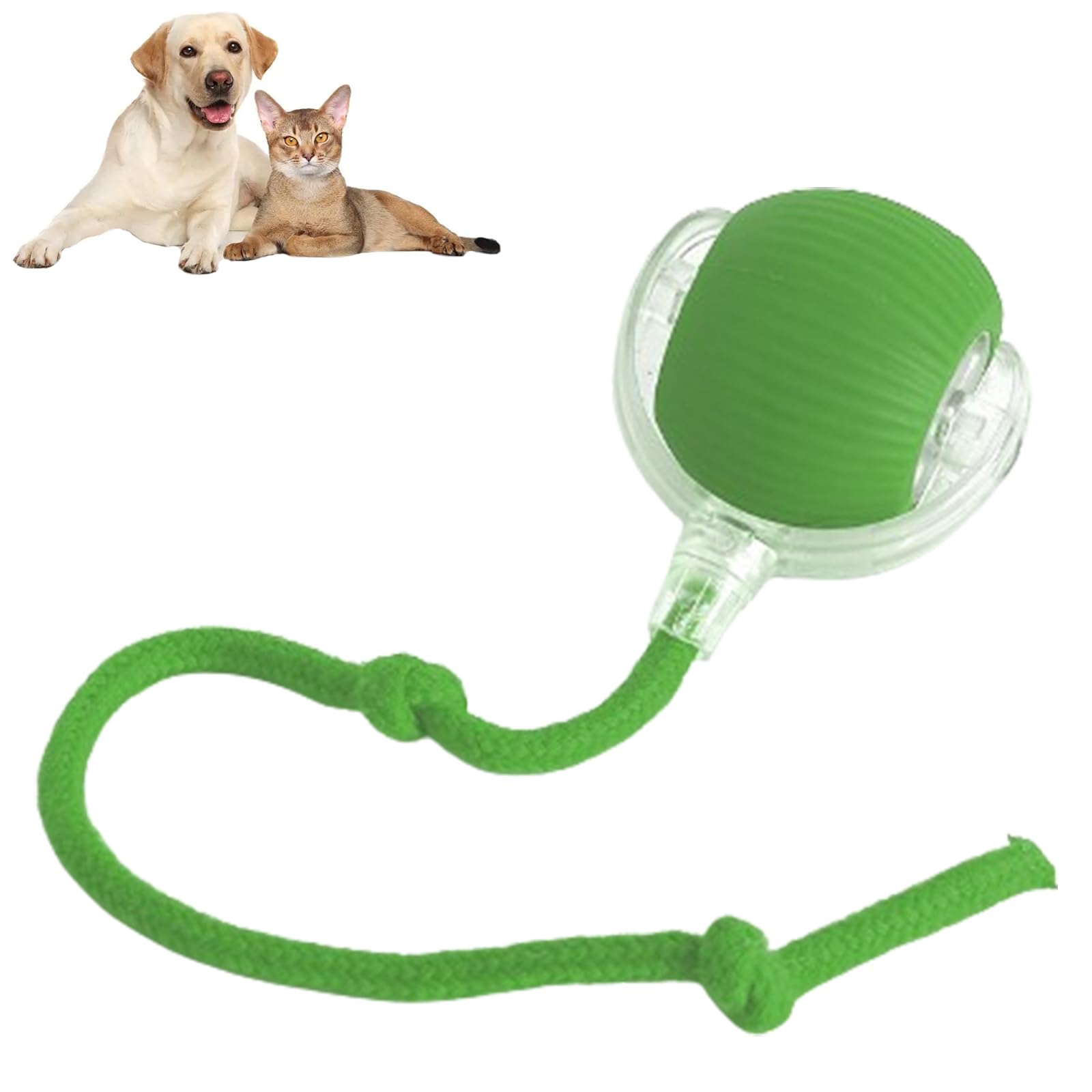 Interactive Cat Toys Ball