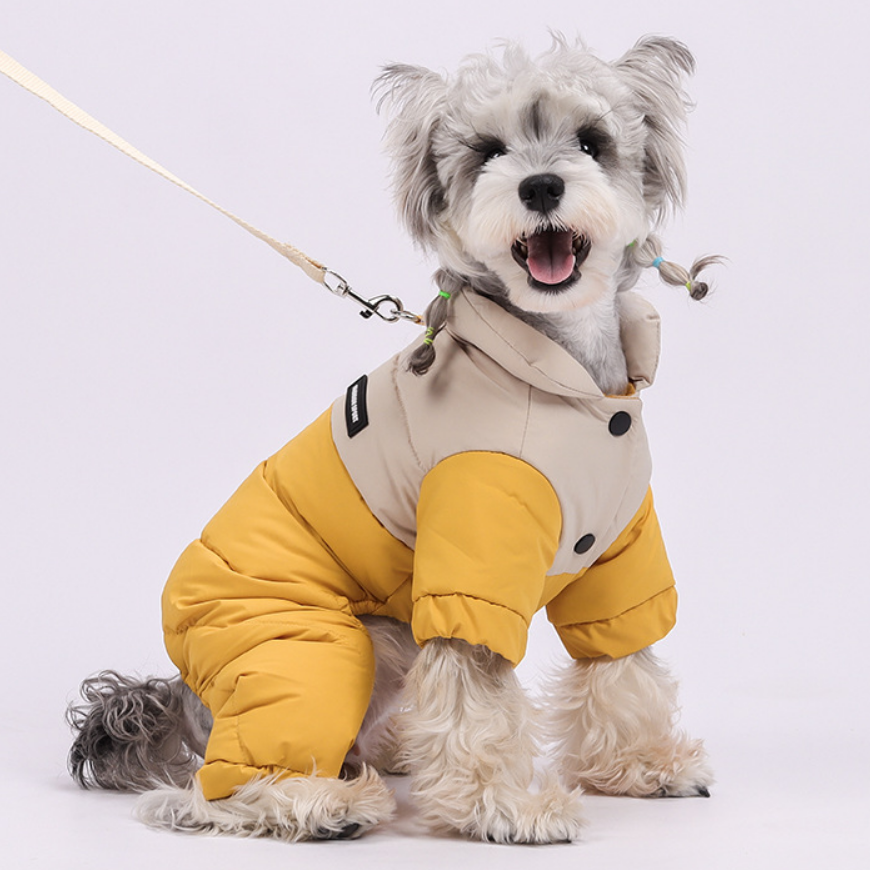 Winter Waterproof and Warm Dog Coat