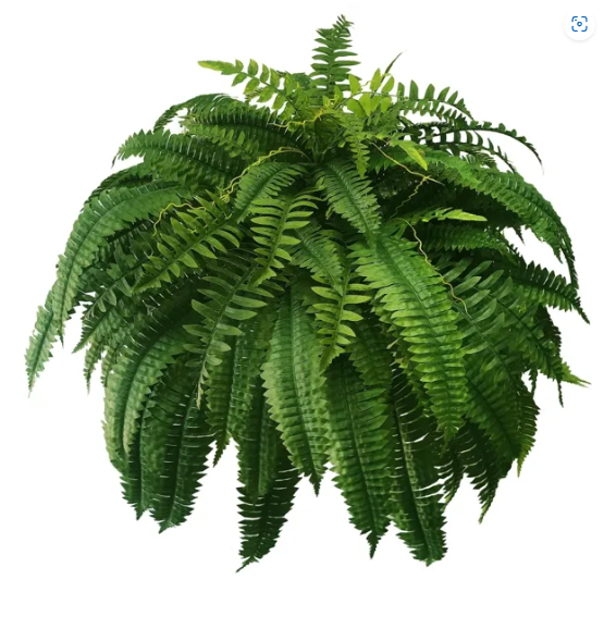 ✨This Week's Special Price💥UV Resistant Lifelike Artificial Boston Fern