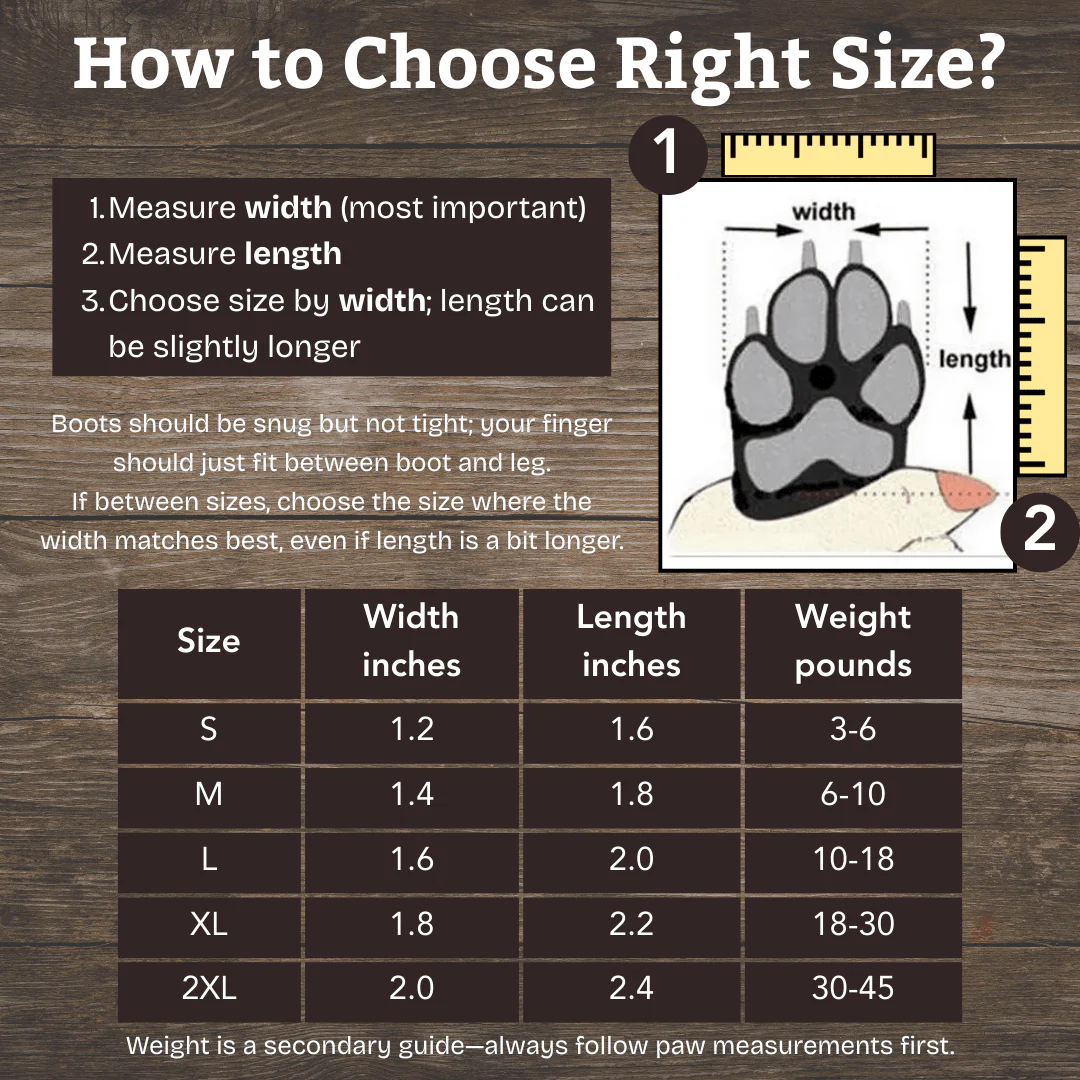 🐾✨ Grishay™ Stylish Winter Dog Boots – Pawsome Protection & Fashion ✨🐾