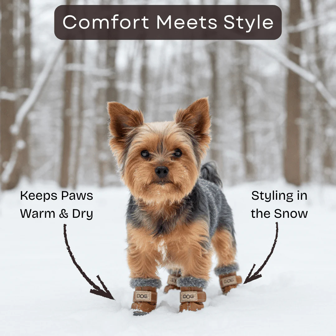 🐾✨ Grishay™ Stylish Winter Dog Boots – Pawsome Protection & Fashion ✨🐾