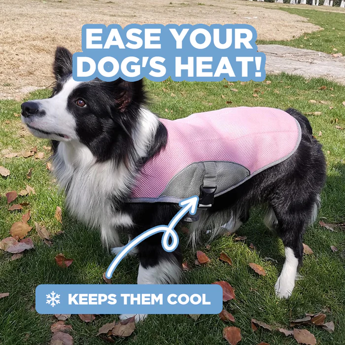 🔥 Ice Cooling Dog Protective Vest
