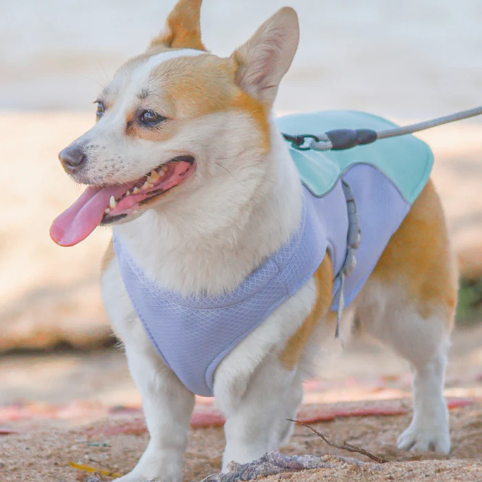 🔥 Ice Cooling Dog Protective Vest