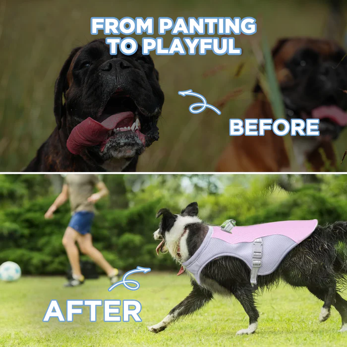 🔥 Ice Cooling Dog Protective Vest