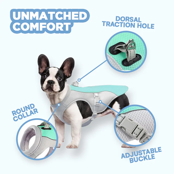 🔥 Ice Cooling Dog Protective Vest