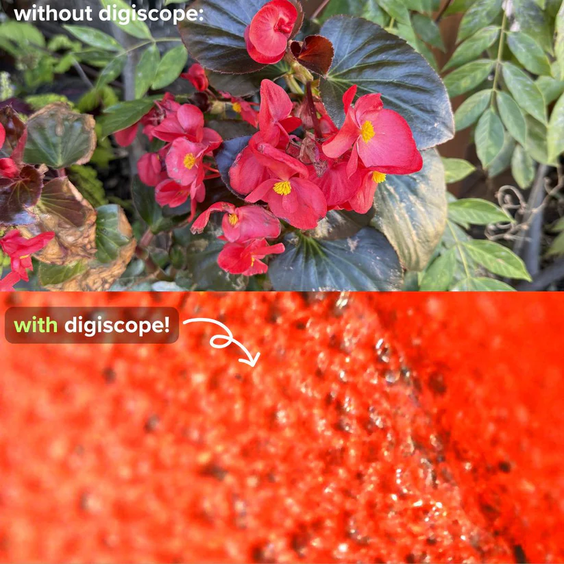 🎁Mini Digital Microscope for Kids Educational Science Toys