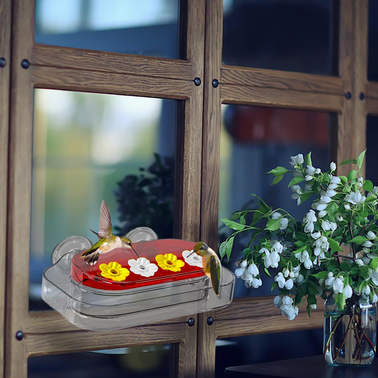  Window Hummingbird Feeder