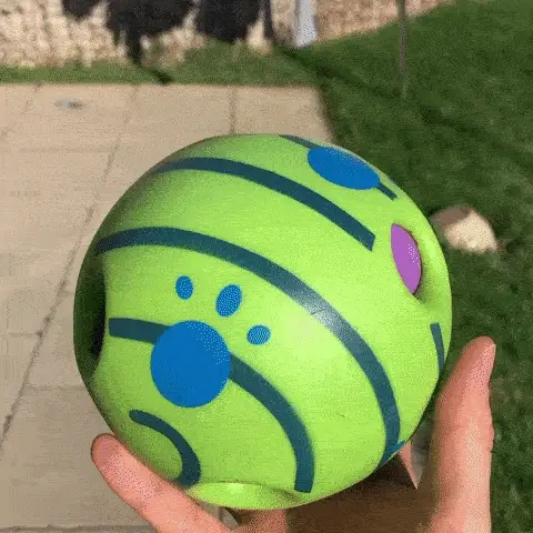 Petsboro™ Interactive Dog Ball Toy