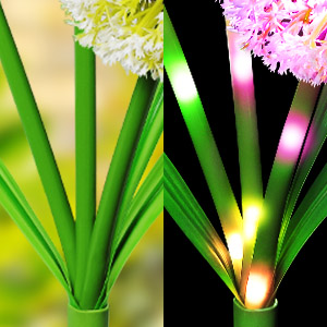 Solar garden lights outdoor waterproof colorful dandelion lights for outside decor