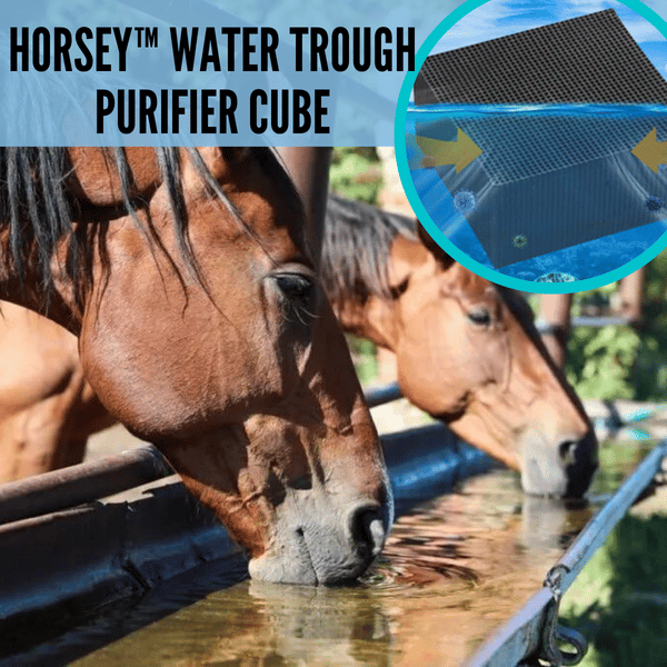 🔥 48% OFF 🔥 Livestock Water Trough Purifier 