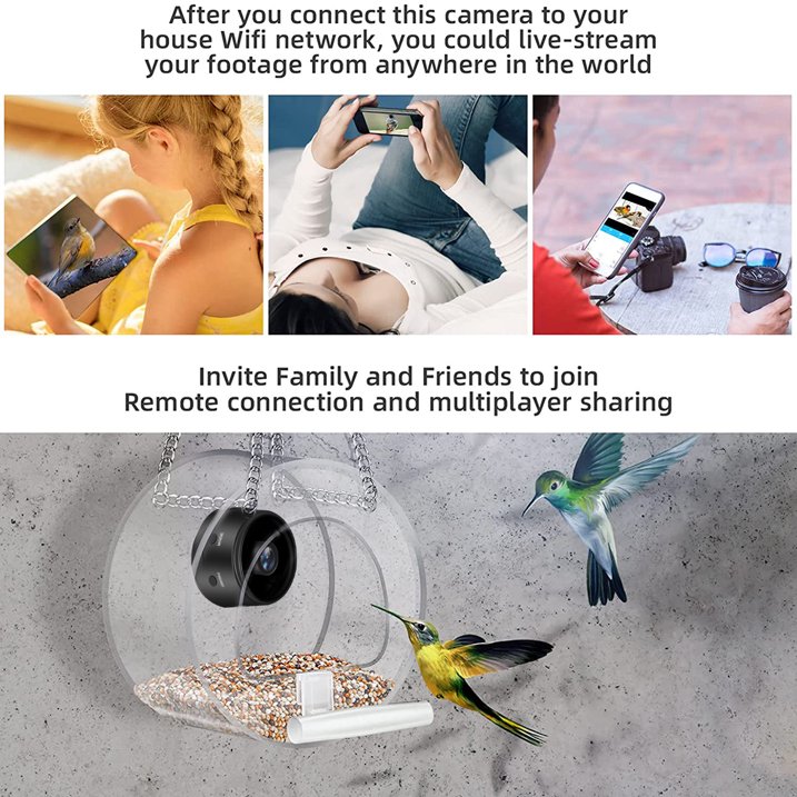 Smart Bird Feeder With Camera