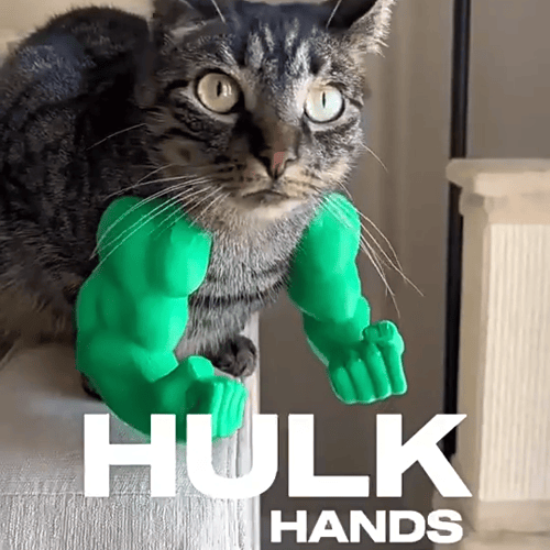🔥2025 Summer Hot Sale - 48% OFF🔥Cat Muscle Arms – Funny 3D Printed Hulk Arms for Cats💪