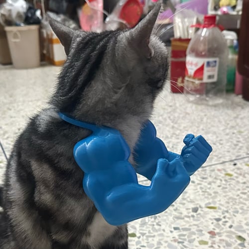 🔥2025 Summer Hot Sale - 48% OFF🔥Cat Muscle Arms – Funny 3D Printed Hulk Arms for Cats💪