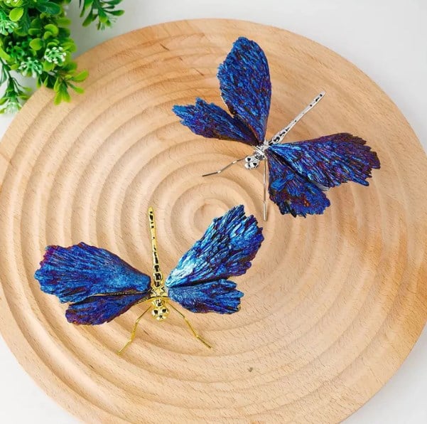 🔥BIG SALE - 49% OFF🔥💥AURA TOURMALINE KYANITE DRAGONFLY💥