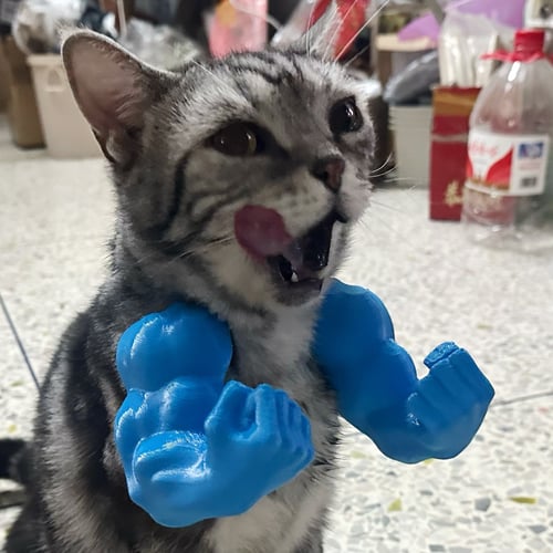 🔥2025 Summer Hot Sale - 48% OFF🔥Cat Muscle Arms – Funny 3D Printed Hulk Arms for Cats💪