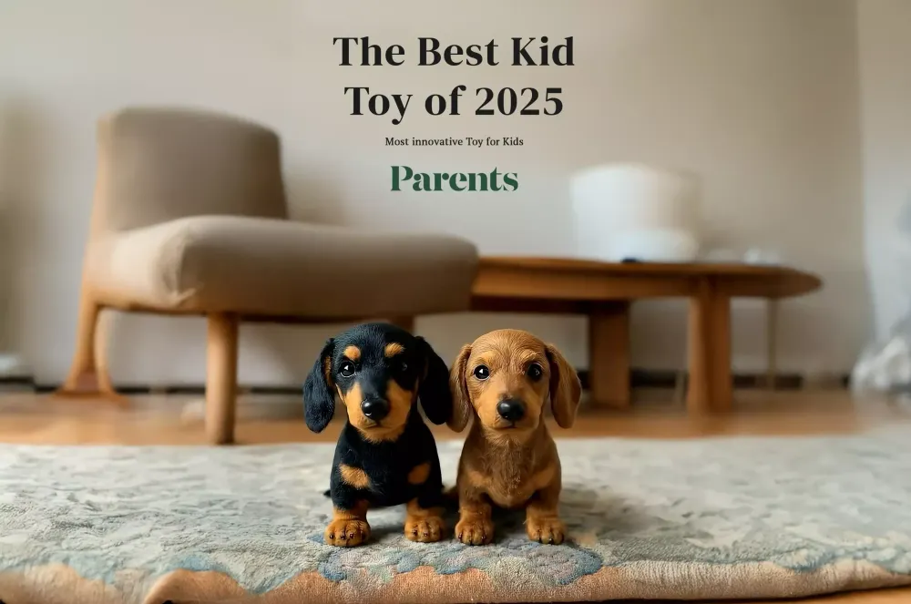 🐶 The Dachys &ndash; Emotional Healing on Demand