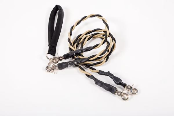 🔥Last Day🔥🐕Double Bungee Leash - 1st step training tool