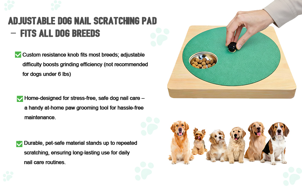 Dog Nail Scratch Board