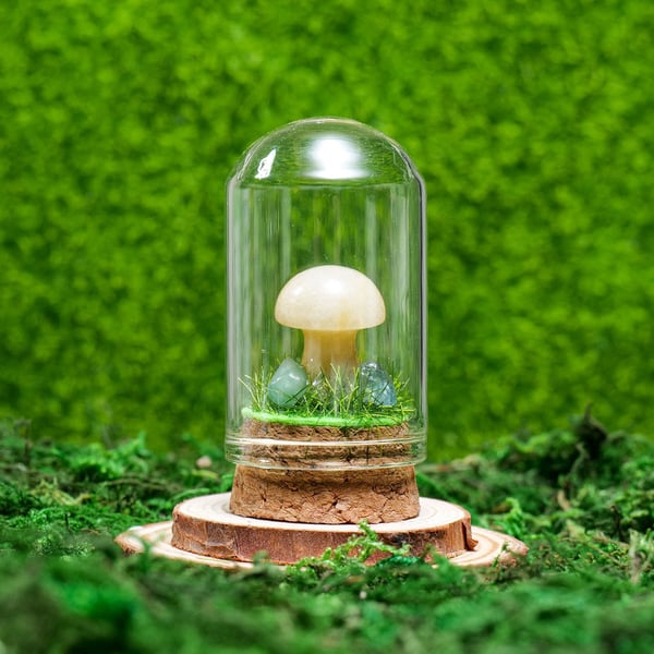 🍄Mini Crystal Mushroom Terrariums| Choose Your Natural crystal Mushroom