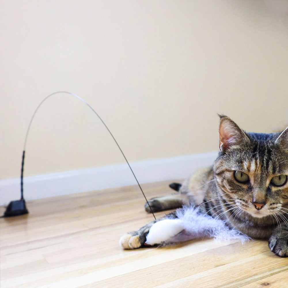 Interactive Bird Simulation Cat Toy Set