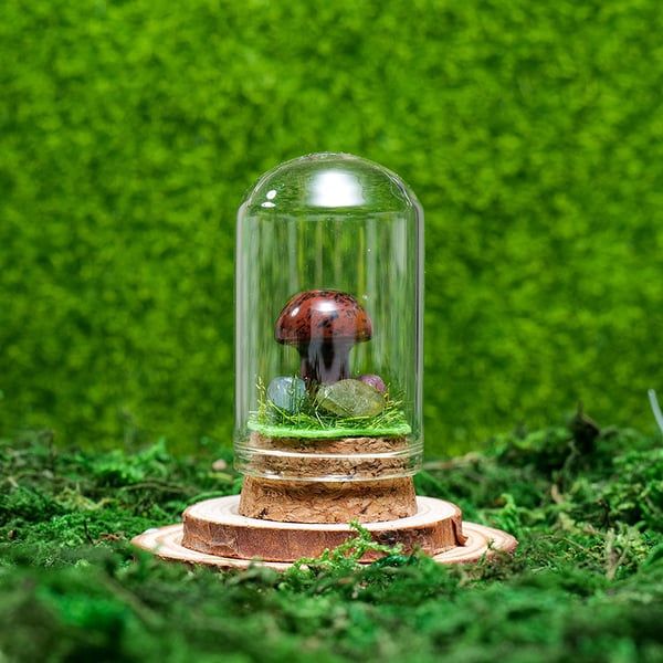 🍄Mini Crystal Mushroom Terrariums| Choose Your Natural crystal Mushroom