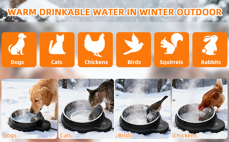 heated water bowl for chickens birds ducks rabbits