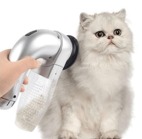 Handheld vacuum for pet hair