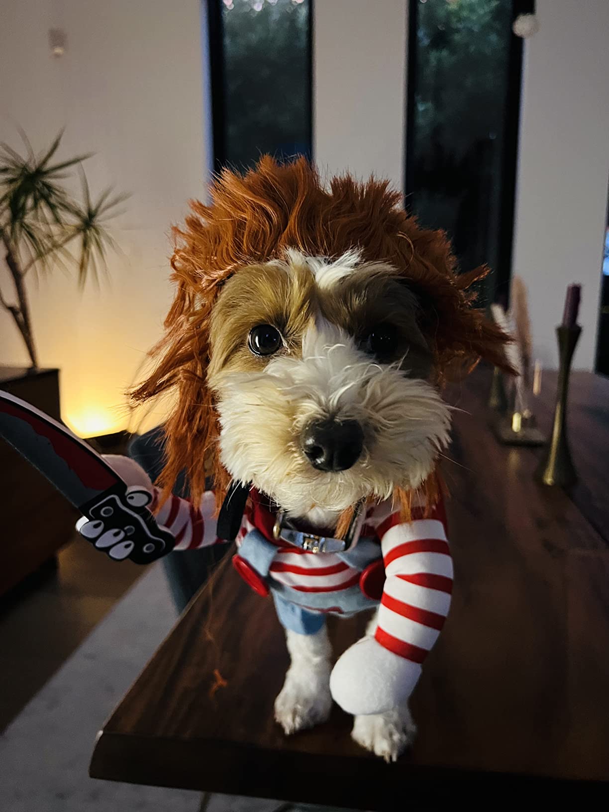 🎈🎈 ( Hot Sale-49% OFF) Deadly Doll Costume 👍