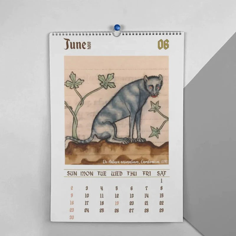Weird Medieval Cats Calendar 2024