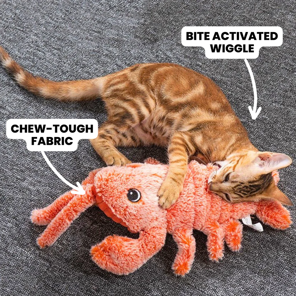 Hot Sale🔥Lobster Interactive Dog & Cat Toy