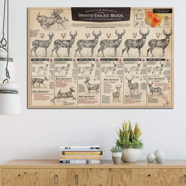 🦌"THE GROWTH AND MATURITY OF THE WHITE-TAILED BUCK"CANVAS PRINTS