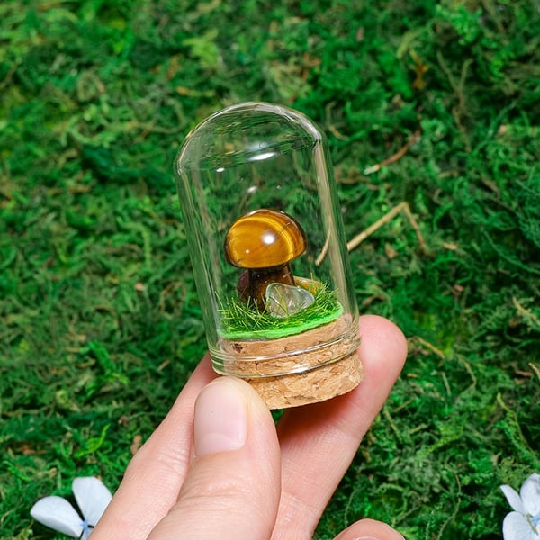 🍄Mini Crystal Mushroom Terrariums| Choose Your Natural crystal Mushroom