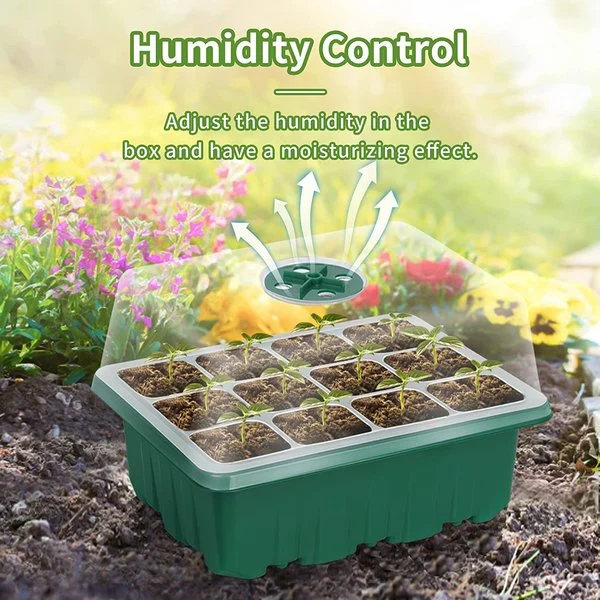 🔥Last Day Promotion 49% OFF🔥Seed Starter Trays with Grow Light