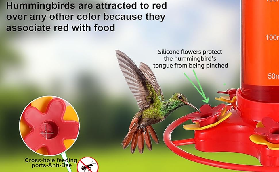 Hummingbird Feeders for Outdoors