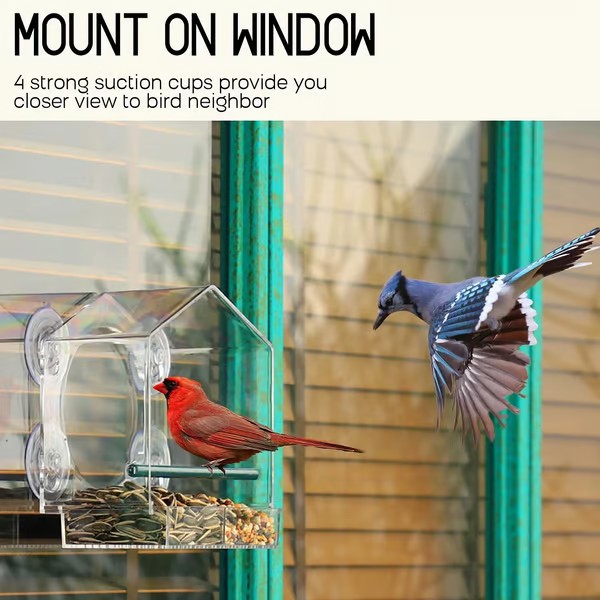 🦜Transparent Acrylic Window Bird Feeder